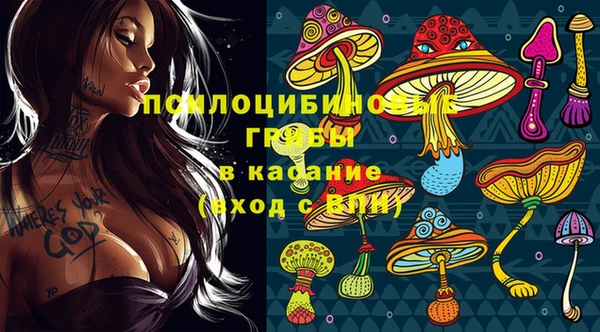твердый Алексин