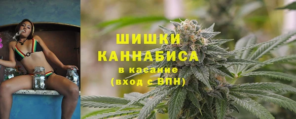 дмт Алзамай
