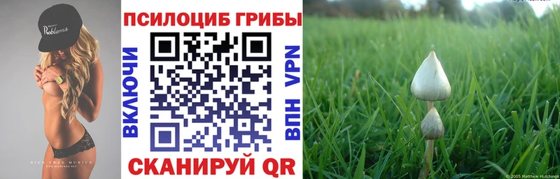 сколько стоит  Мостовской  Галлюциногенные грибы GOLDEN TEACHER 